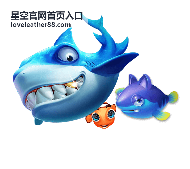 星空官网首页入口的入口导航总览分类封面