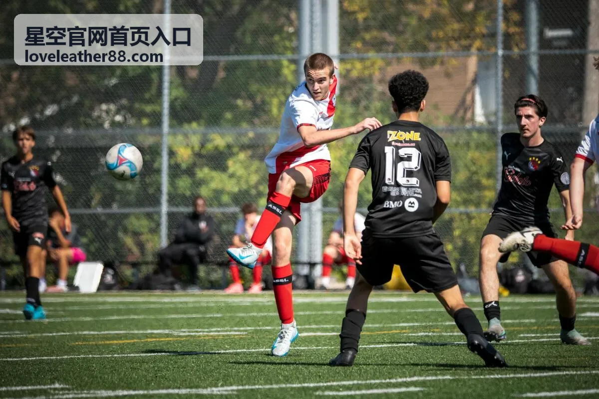 星空官网首页入口多端访问说明分类入口