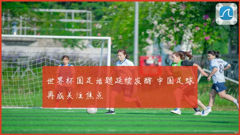 世界杯国足话题延续发酵 中国足球再成关注焦点