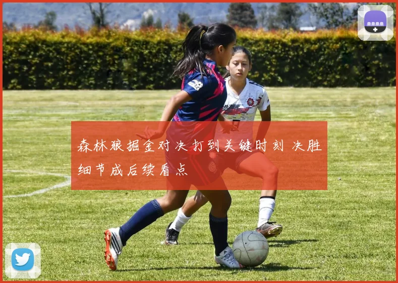 森林狼掘金对决打到关键时刻 决胜细节成后续看点